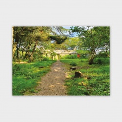 Happy Valley House, Orkney Greetings Card - A6