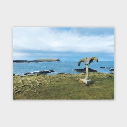 Birsay Whalebone, Orkney Greetings Card - A6